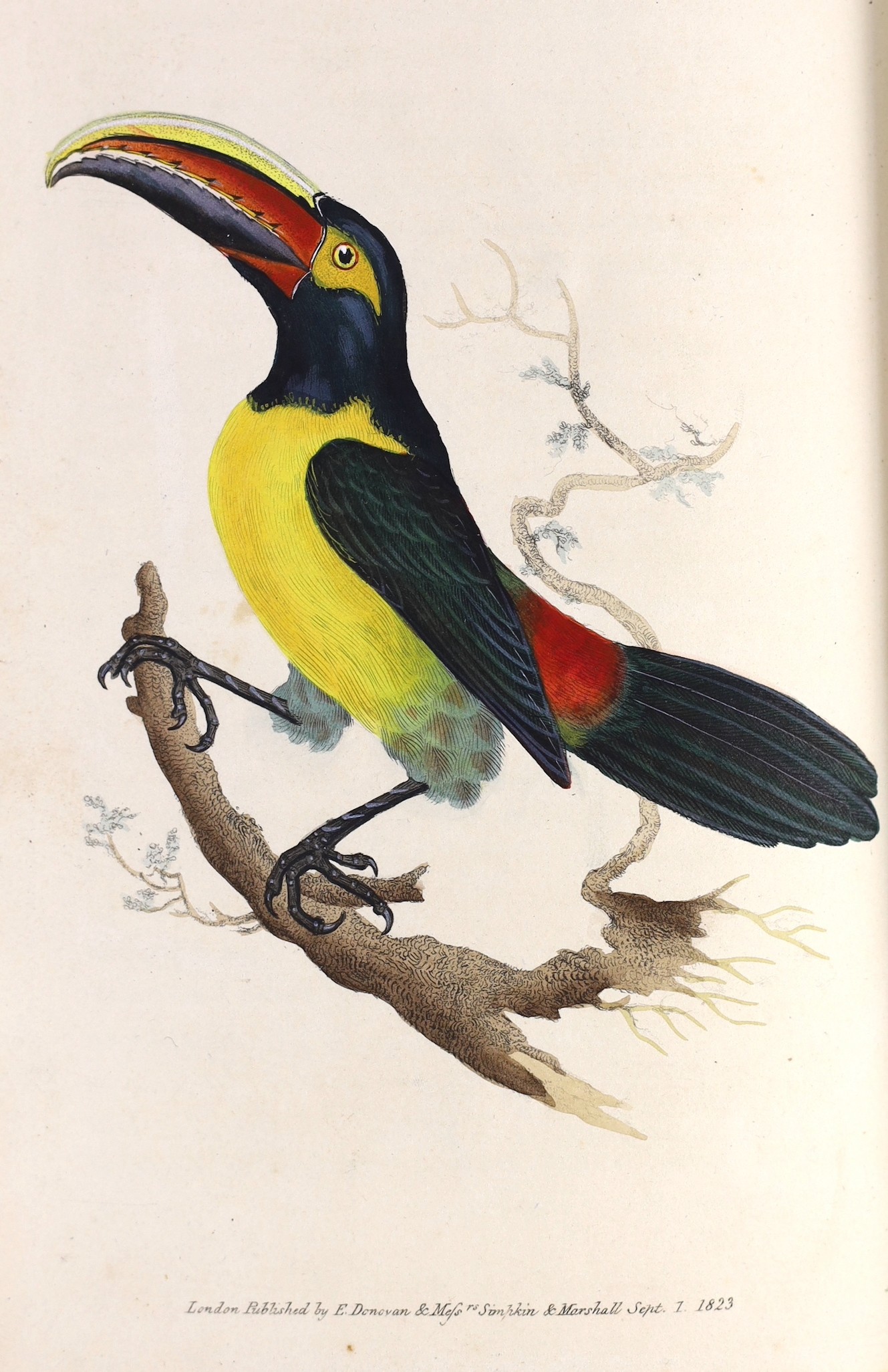 Donovan, Edward (1768-1837) - The Naturalist’s Repository or monthly miscellany of Exotic Natural History…of Quadrupeds, Birds, Fishes, Insects, Shells, Marine Productions and every interesting object of Natural History,